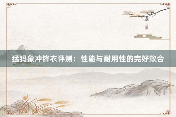 猛犸象冲锋衣评测：性能与耐用性的完好蚁合