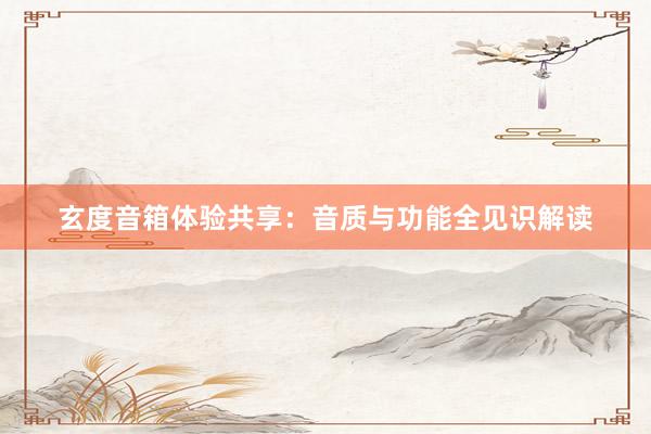 玄度音箱体验共享：音质与功能全见识解读